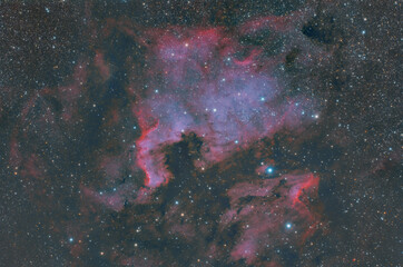 Fototapeta premium Cosmic Beauty: A Nebula Portrait