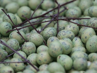 Close up image of a bowl containing small eggs