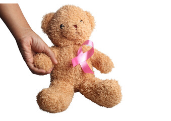 Brown teddy bear on white background.Isolated