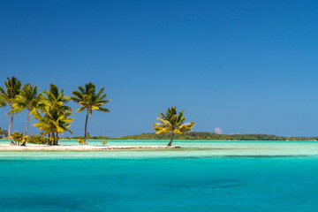 Obraz na płótnie Canvas French Polynesia, Bora Bora. Motu Tane private island in lagoon.
