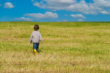 Naklejka na ściany i meble A child walking in the distance in a pasture with cut grass. Copy space.