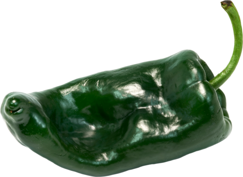 chile relleno, chile ancho, chile poblano