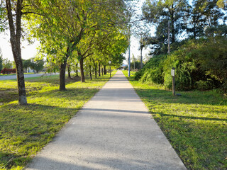 Sendero en el parque de la ciudad con hileras de árboles y hierba verde al atardecer, con pinceladas de sombras en la superficie, forma un hermoso paisaje primaveral para los fondos