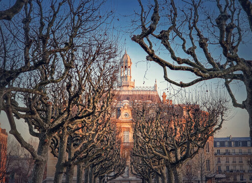 City Hall of Asnieres as seen through the leafless sycamore trees alley outdoors in the park. Asni&egrave;res-sur-Seine mairie backyard facade view in sunset light, northwestern suburb of Paris, France