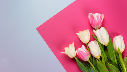 tulips on a colored holiday frame Background