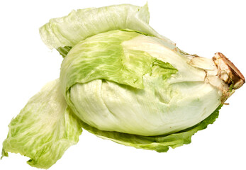 lechuga