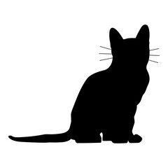  Vector gato pequeño con bigotes sentado sobre fondo blanco