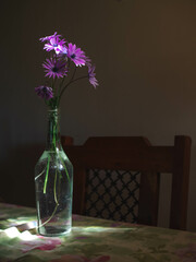 still life with purple wildflowers in a vase 