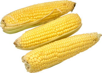 elotes