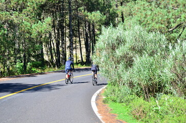 Cyclist forest road bike 