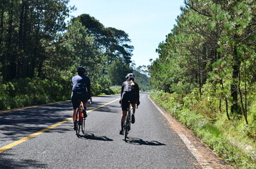 Cyclist forest road bike 