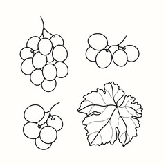 Line art grapes branches illustration