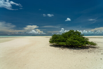 Blick in die Lagune von Vergin Cocoa