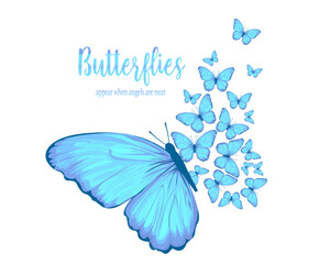 blue butterfly on white background - obrazy, fototapety, plakaty
