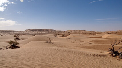 Fototapeta na wymiar Sand dunes in the Sahara Desert, outside of Douz, Tunisia