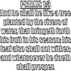 Psalm 1:3
KJV
And he shall be like a tree planted by the rivers of water, that bringeth forth his fruit in his season; his leaf also shall not wither; and whatsoever he doeth shall prosper. - obrazy, fototapety, plakaty