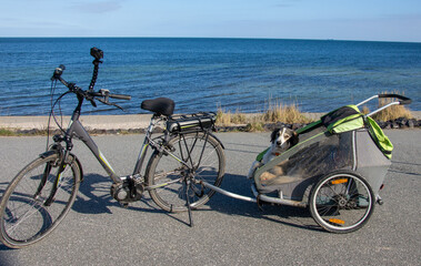 Hund Fahrradtour im Anhänger am Meer