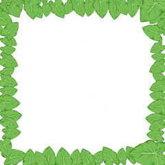 green leaves frame