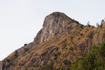Fototapeta na wymiar beautiful tall rock mountain top view in kerala india