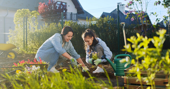Caucasian happy beautiful mother and teen daughter digging in ground and planting flowers in garden on sunny summer day. Pretty girl with mommy in orchard. Outdoors. Helping mom.