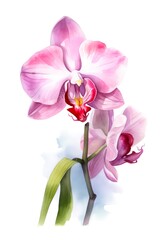 Watercolor illustration of a orchid flower isolated on white background. Generative AI.