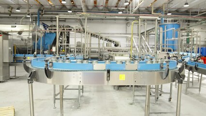 Green peas in cans on a conveyor belt in a canned food production facility