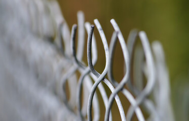 Siatka ogrodzeniowa na tle zieleni. © Adam Sadlak