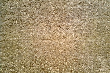 fluffy beige carpet texture background, view