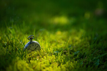 Round mechanical watches lie on the grass in summer.Lost time. A clock in the ground.