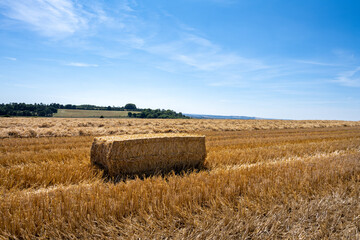 Square straw bale in a field on a sunny summer aternoon, Wiltshire, England