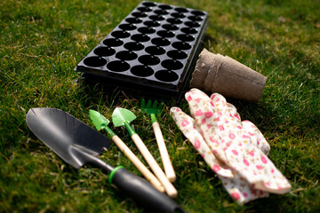 gardening tools on the grass, planting plants in early spring