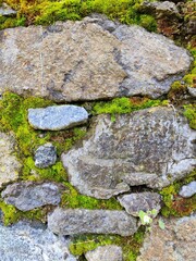 To an eye that seeks detail even the most common stone has an indescribable degree of complexity hidden in simplicity, an old stone wall in nature