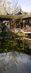 Fototapeta na wymiar tall panoramic of a reflection at a Chinese tea garden.