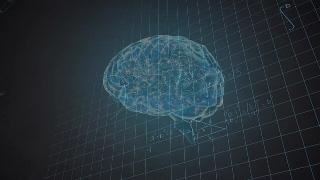 Animation of human brain and mathematical data processing