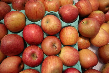 fresh fruits background of colorful apples design for grow season concept