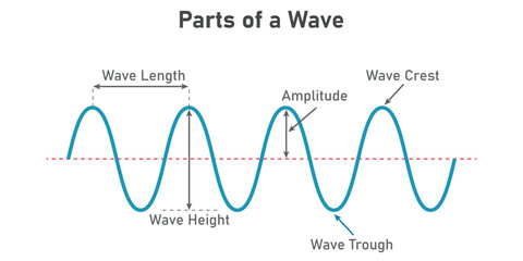 The basic properties of waves. Parts of wave diagram. Direction of wave motion. Crest, trough, amplitude, height and length of wave. Vector illustration isolated on white background.