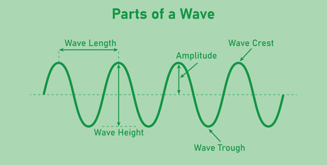 The basic properties of waves. Parts of wave diagram. Direction of wave motion. Crest, trough, amplitude, height and length of wave. Vector illustration.