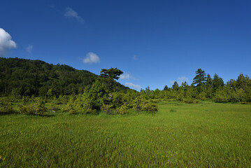 Climbing Mt. Hiuchi in Oze from Miike, Fukushima