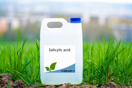 Salicylic acid a natural plant hormone that regulates plant growth and development, and promotes resistance to biotic and abiotic stress.