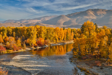 USA, Washington State, Methow Valley and river edged in Fall colored trees. - obrazy, fototapety, plakaty