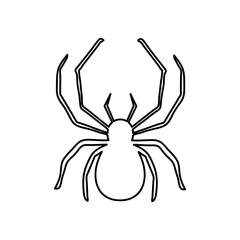 spider vector icon, vector Tiny little spider illustration on white background