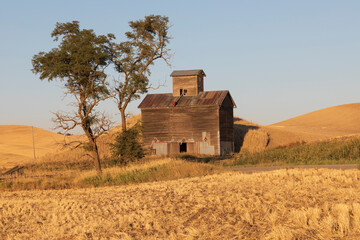 USA, Washington State, Whitman County, Palouse. Colfax. Old grain silo and barn along Filan Road.