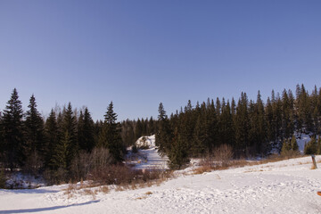 Whitemud Park on a Clear Winter Day