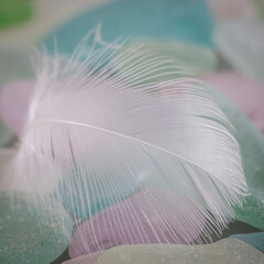 USA, Washington State, Seabeck. Feather and beach glass close-up.