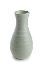 Stylish vase isolated on white background