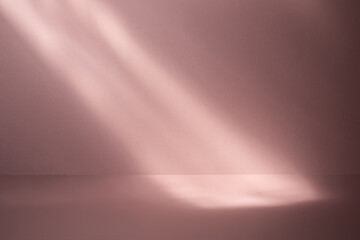 shadow on pink pastel wall and floor. Abstract background of shadows minimal mock-up. Neutral on light paper backdrop