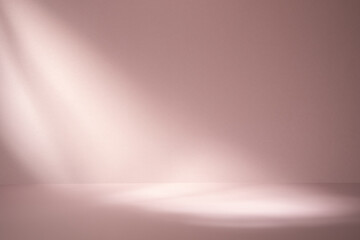 shadow on pink pastel wall and floor. Abstract background of shadows minimal mock-up. Neutral on light paper backdrop