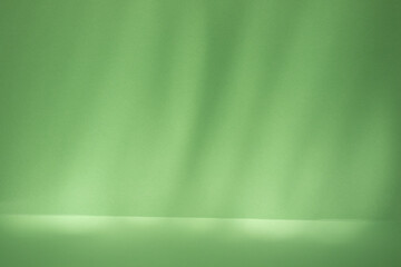 shadow on green pastel wall and floor. Abstract background of shadows minimal mock-up. 