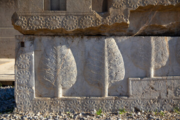 Cedar Tree Bas-relief on Eastern Stairway of Apadana Palace, Persepolis