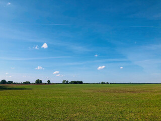a large green field picture